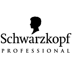 Schwarzkopf Appalooza. Hair competition on live models