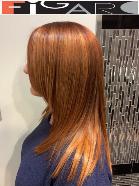 Brond (bronde) Hair coloring Ideas from Elena Bogdanets award winning colorist working in Toronto