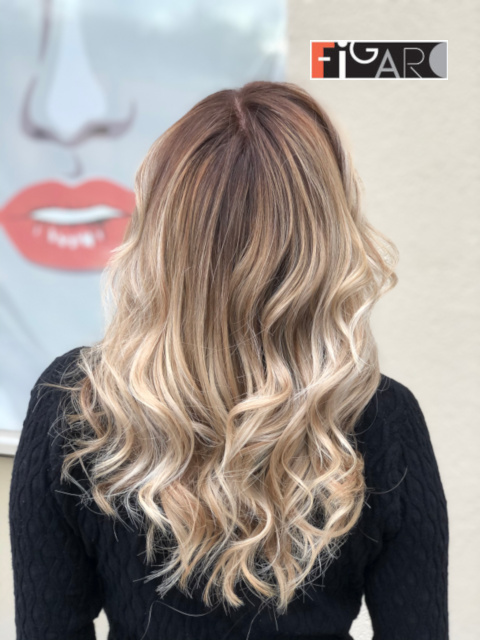 Sombre Hair Coloring  Ideas by award winning colorist Elena Bogdanets