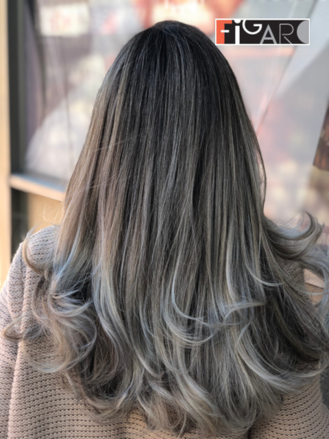 Sombre Hair Coloring  Ideas by award winning colorist Elena Bogdanets