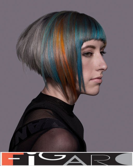 Hair stylist and colorist Elena Bogdanets work for Colorzoom 2016 in Canada