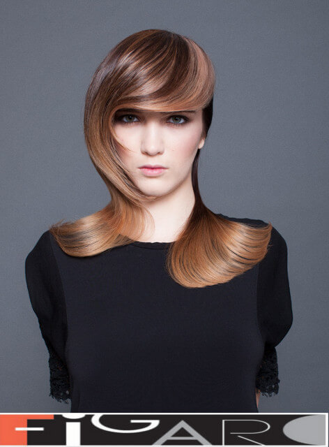 This model was done by famous hair stylist and colorist Elena Bogdanets for NAHA