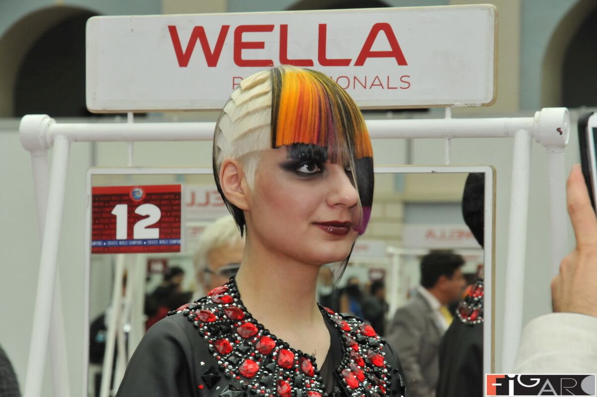 Toronto's Best hair stylist and colorist Elena Bogdanets - Absolute Champion at Euro Cup OMC 2013